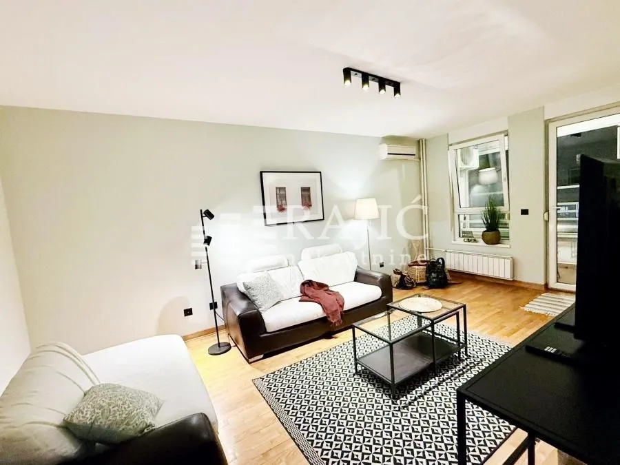 Furnished living room with a sofa and a rug.