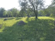 Prodaja, plac, 10000m², Drpe, Kolašin - image 3