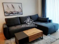 Izdavanje, dvosoban stan, 55m², Savski Venac, Beograd - image 5