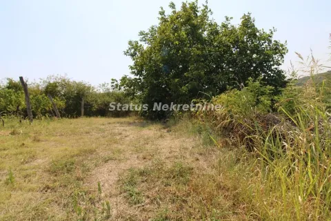 Prodaja, plac, 4502m², Beočin, Srbija - image 14