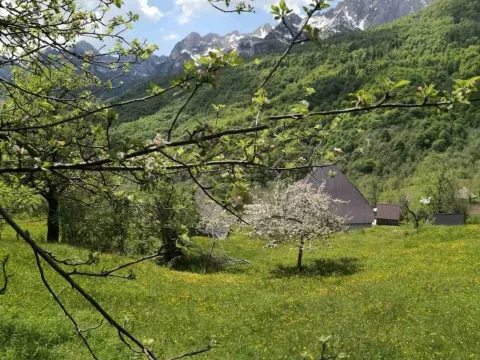 Prodaja, plac, 2100m², Kolašin, Crna Gora - image 6