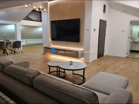 Rent, three bedroom apartment, 360m², Savski Venac, Beograd - image 5
