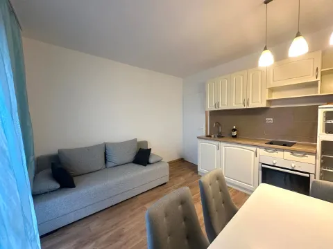 Izdavanje, jednosoban stan, 40m², Podkošljun, Budva - image 2