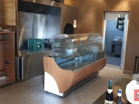 Rent, house, 1000m², Kać, Novi Sad Sve Podlokacije - image 3