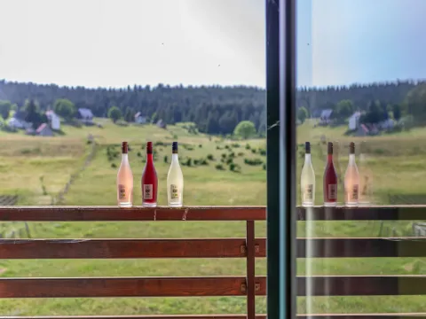 Prodaja, kuća, 200m², Žabljak, Crna Gora - image 2