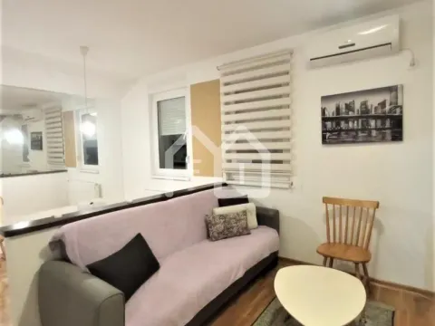 Izdavanje, dvosoban stan, 45m², Zemun Gornji Grad, Zemun Sve Podlokacije - image 1