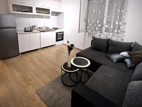 Izdavanje, stan, 42m², Centar, Podgorica - image 1