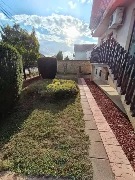 Pogled na uređeno dvorište kuće sa stazom i zelenilom. - image 6