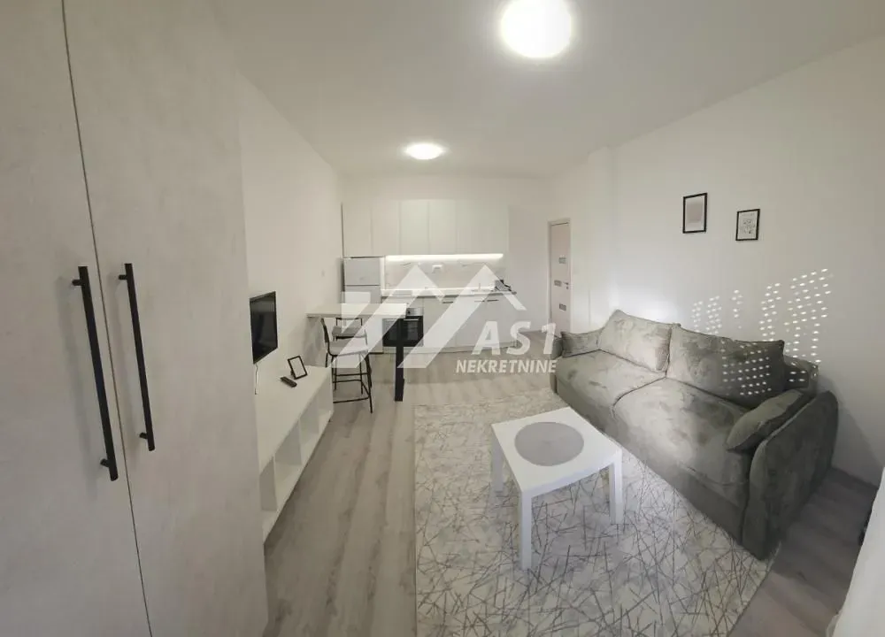 Izdavanje, stan, 25m², Veternik, Novi Sad Sve Podlokacije