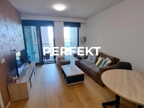 Rent, two bedroom apartment, 45m², Novi Beograd Sve Podlokacije, Beograd - image 10