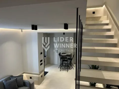 Izdavanje, kuća, 48m², Vračar Sve Podlokacije, Beograd - image 5