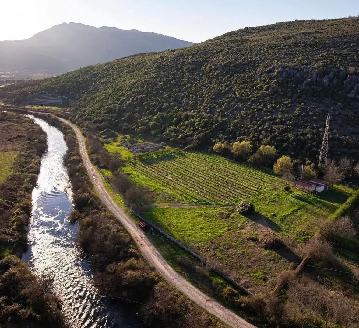 Prodaja, plac, 13000m², Gornja Gorica, Podgorica