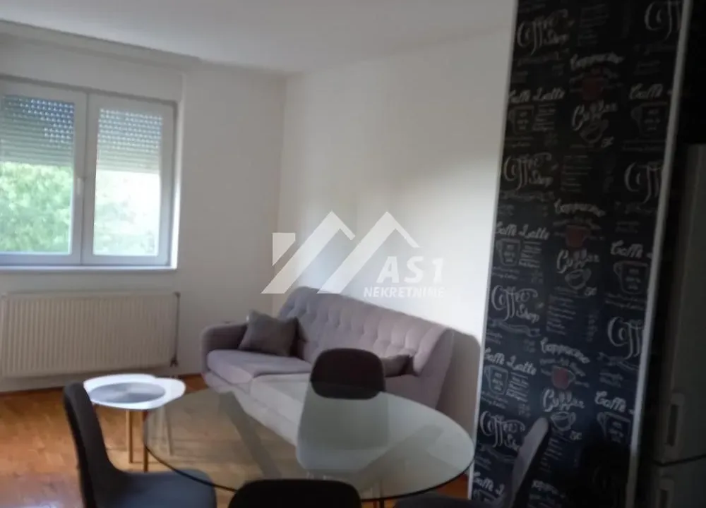 Izdavanje, dvosoban stan, 53m², Bulevar patrijarha Pavla, Novi Sad Sve Podlokacije