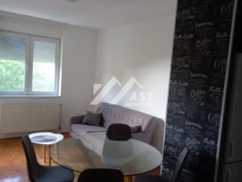 Izdavanje, dvosoban stan, 53m², Bulevar patrijarha Pavla, Novi Sad Sve Podlokacije