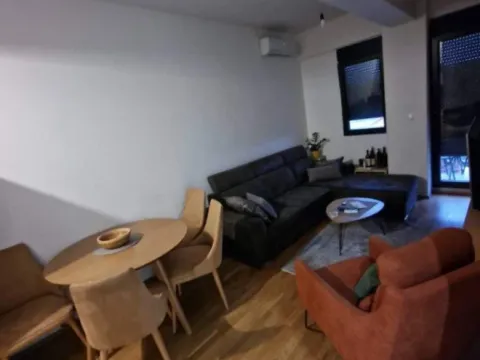 Izdavanje, jednosoban stan, 42m², Zagorič, Podgorica - image 2