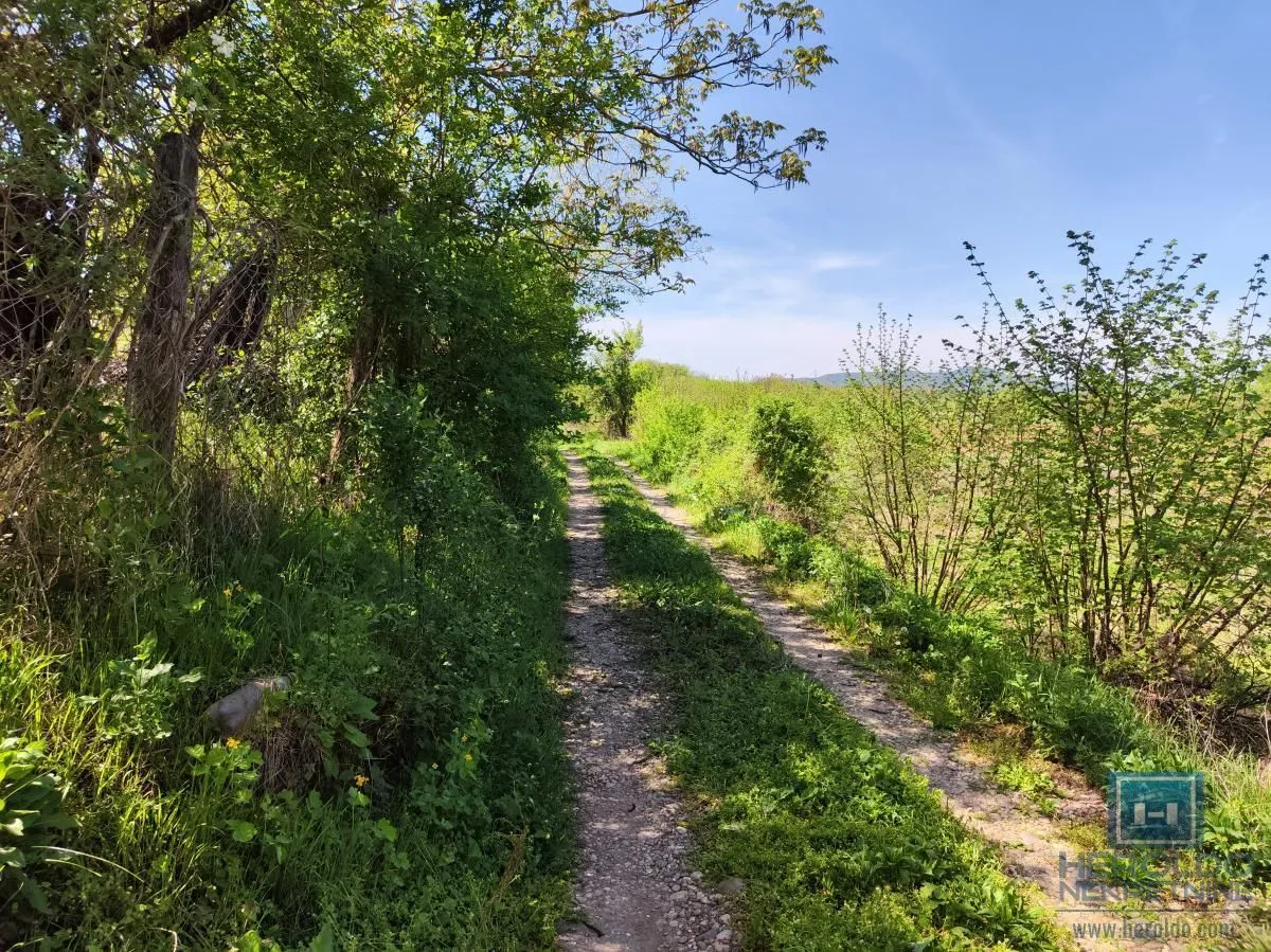 Prodaja, plac, 2300m², Trnava, Jagodina