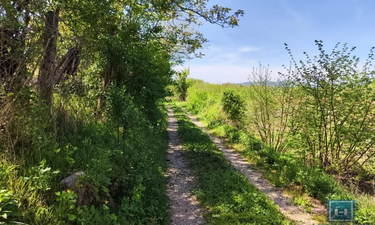 Prodaja, plac, 2300m², Trnava, Jagodina