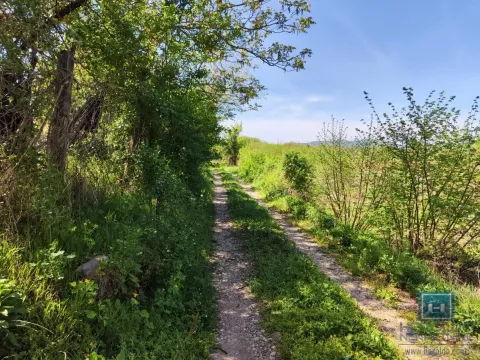 Sale, land lot, 23m², Trnava, Jagodina