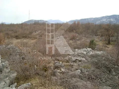Sale, land lot, 35000m², Gornji Kokoti, Podgorica - image 6