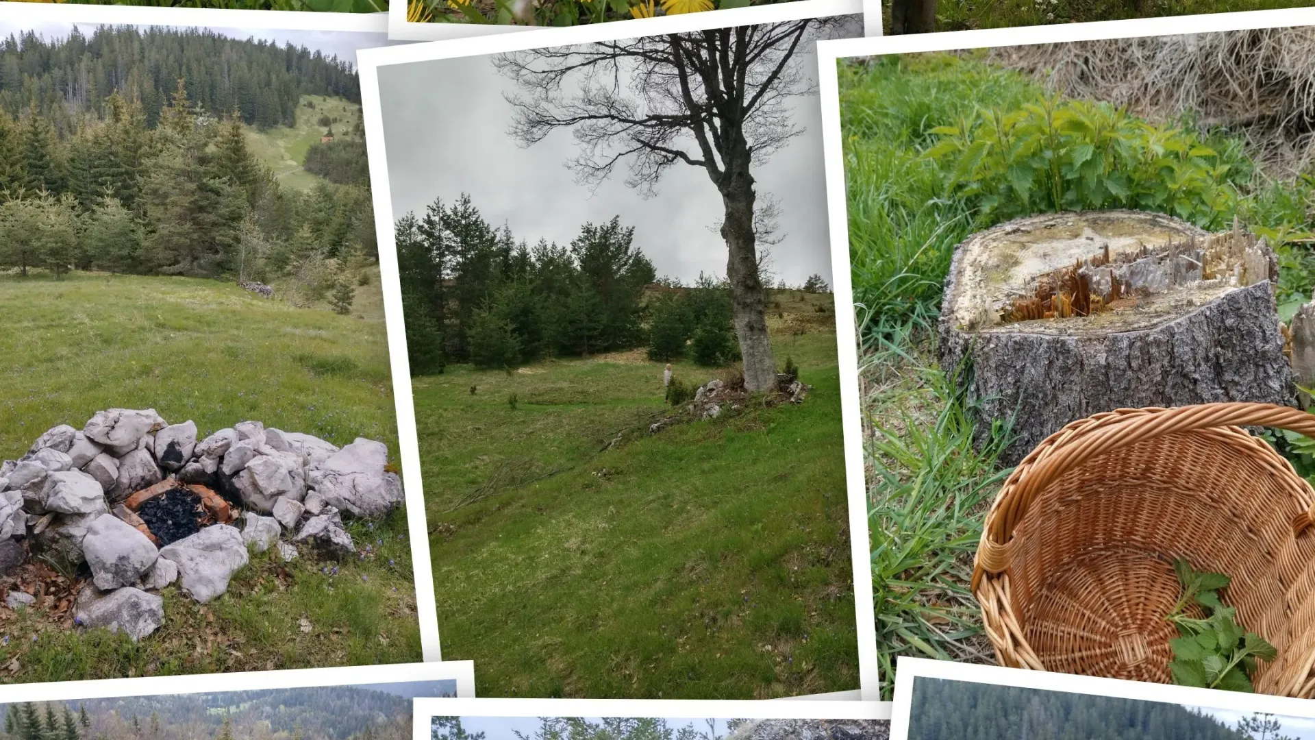 Prodaja, plac, 7000m², Mokra gora, Tara
