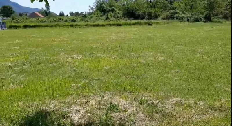 Prodaja, plac, 4300m², Kotor, Crna Gora