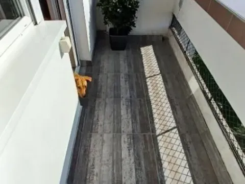 Sale, two bedroom apartment, 62m², Zemun Kalvarija, Zemun Sve Podlokacije - image 11