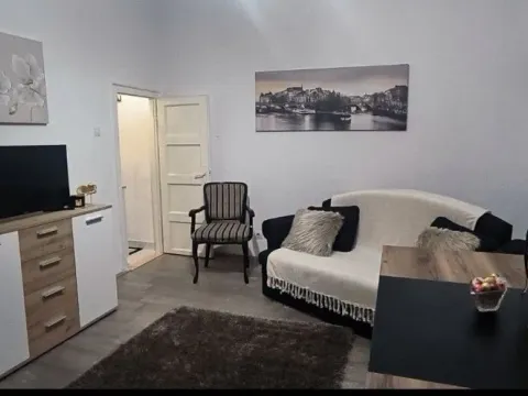 Rent, one bedroom apartment, 45m², Slavija, Vračar Sve Podlokacije - image 3