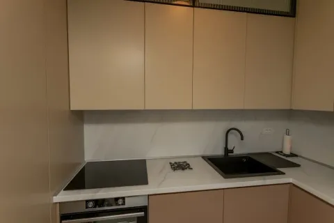 Moderna kuhinja sa ugrađenom pločom, rernom i sudoperom. - image 8