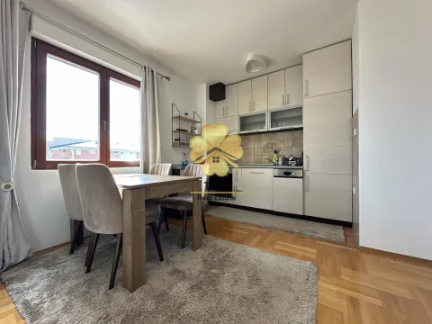 Izdavanje, jednosoban stan, 50m², Stari Aerodrom, Podgorica - image 4