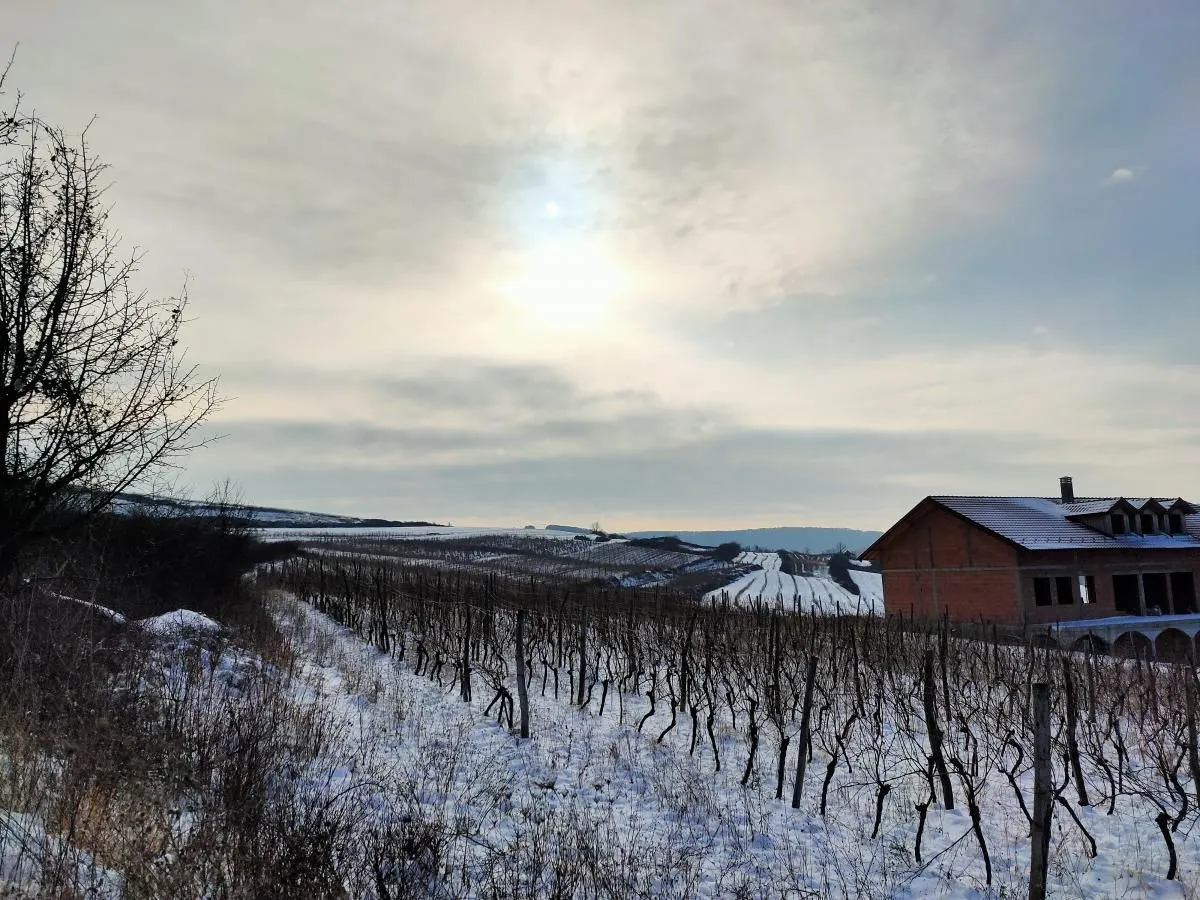 Prodaja, plac, 300m², Beočin, Srbija