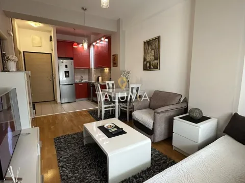 Rent, one bedroom apartment, 43m², Ljubović, Podgorica - image 9