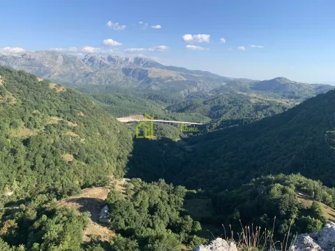 Prodaja, plac, 77165m², Podgorica, Crna Gora - image 3