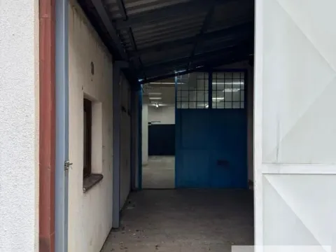 Izdavanje, poslovni prostor, 220m², Bezanijska Kosa 1, Bežanijska Kosa Sve Podlokacije - image 5