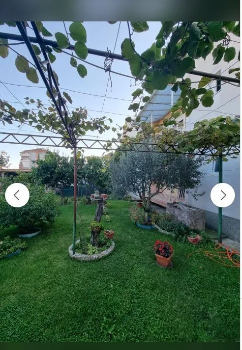 Uređeno dvorište sa travnjakom i lozom ispred kuće.