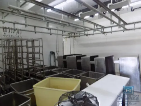 Izdavanje, poslovni prostor, 1500m², Donje Vidovo, Paraćin - image 8