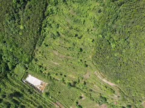 Prodaja, plac, 83000m², Radanovići, Kotor - image 10