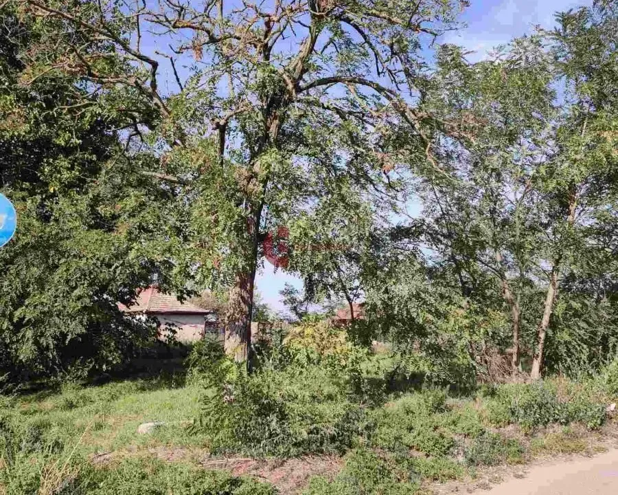 Prodaja, plac, 5m², Kelebija, Subotica