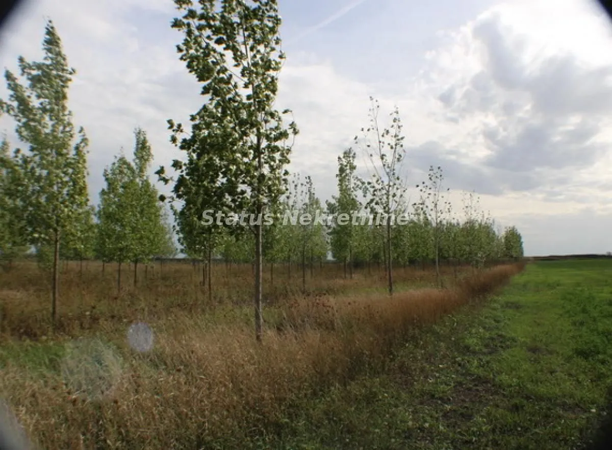Prodaja, plac, 1378m², Zrenjanin, Srbija