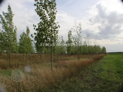 Prodaja, plac, 1378m², Zrenjanin, Srbija - image 15