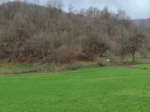 Prodaja, plac, 40000m², Ulotina, Andrijevica - image 2