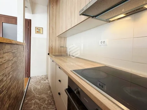 Rent, one bedroom apartment, 43m², Stari Aerodrom, Podgorica - image 8