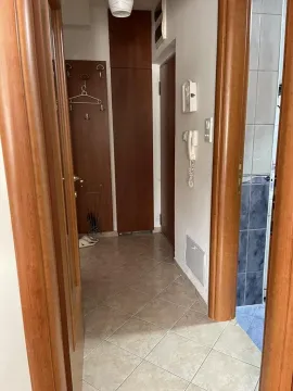 Izdavanje, jednosoban stan, 40m², Pobrežje, Podgorica - image 19
