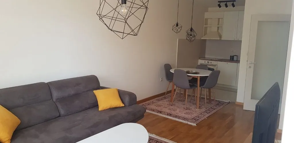 Rent, one bedroom apartment, 46m², Vezirov Most, Podgorica