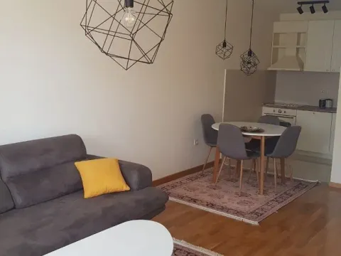 Rent, one bedroom apartment, 46m², Vezirov Most, Podgorica - image 2