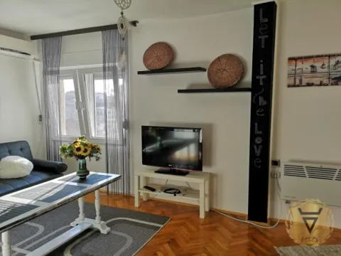 Izdavanje, dvosoban stan, 50m², Stari Grad, Beograd - image 2