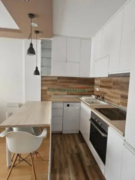 Izdavanje, dvosoban stan, 39m², Centar, Novi Sad - image 2