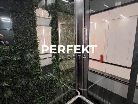 Rent, two bedroom apartment, 45m², Novi Beograd Sve Podlokacije, Beograd - image 4