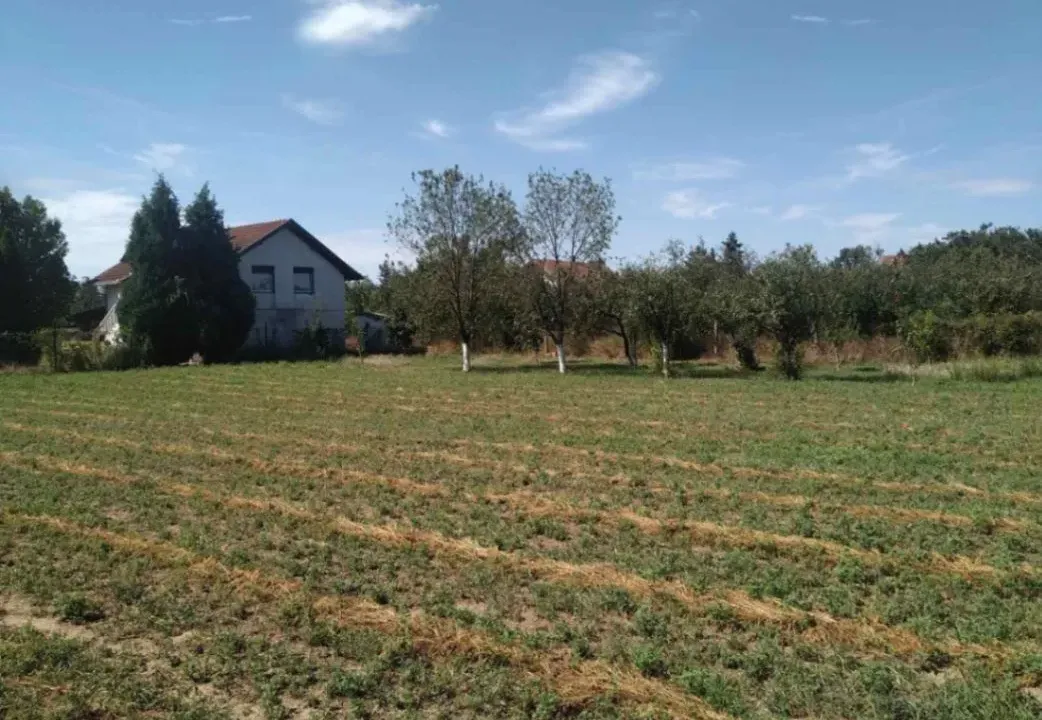 Sale, land lot, 948m², Maradik, Inđija