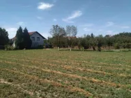 Sale, land lot, 948m², Maradik, Inđija - image 1