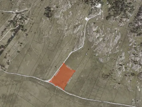 Prodaja, plac, 10000m², Donja Brezna, Plužine - image 2